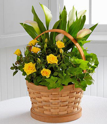 Long Stem Yellow Rose Bouquet