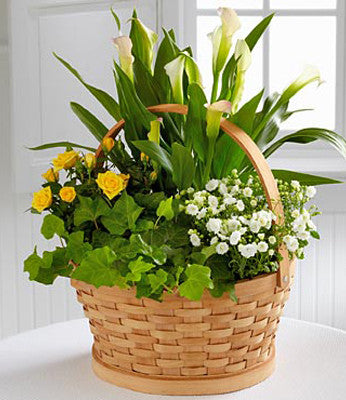 Long Stem Yellow Rose Bouquet