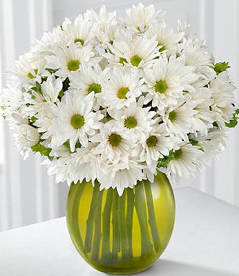 Silver Linings Calla Lily Plant